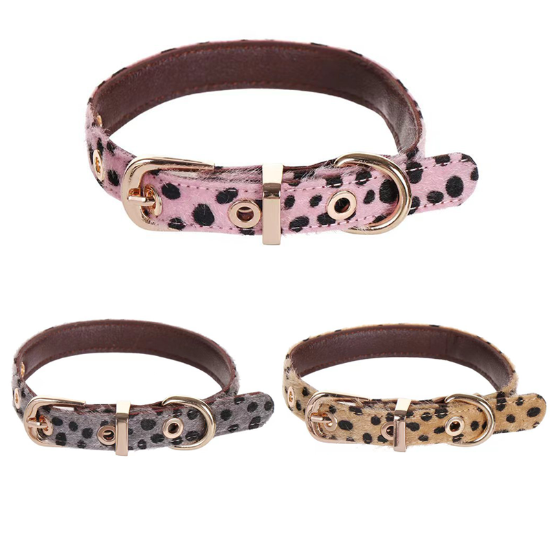 Collare per cani di piccola ta - Leather Strap Quick Release recensione e prezzo