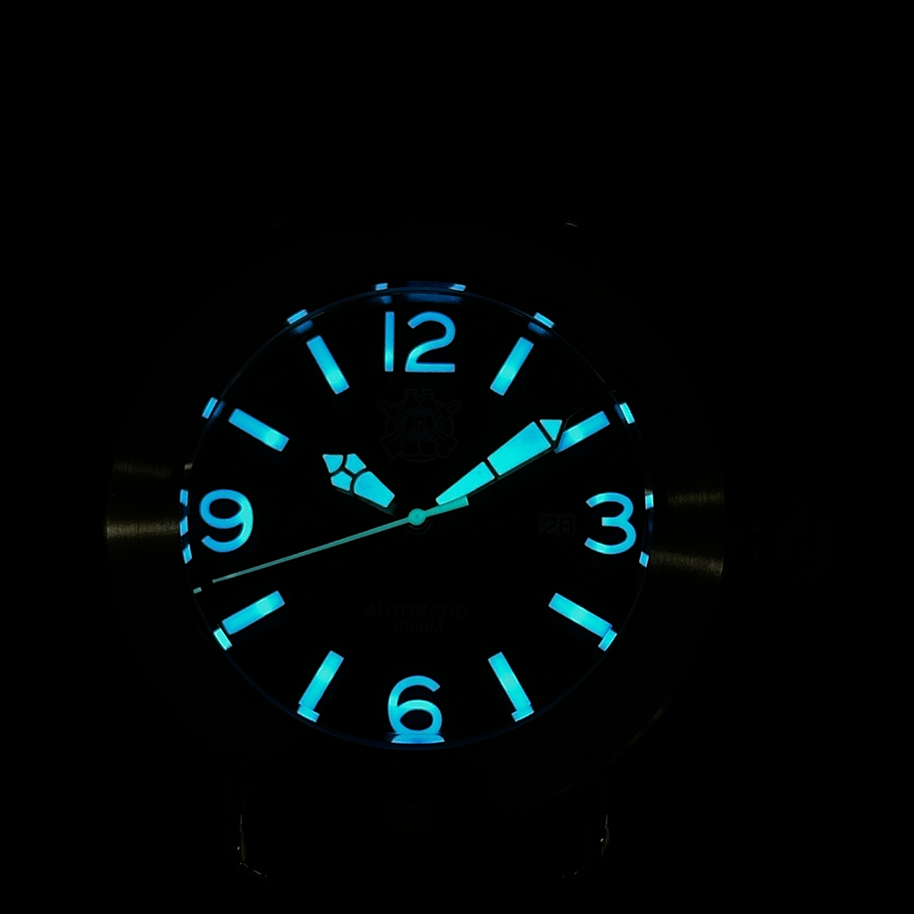 Orologio Steeldive 2025 SD1912 - Seiko Watch Prospex recensione e prezzo
