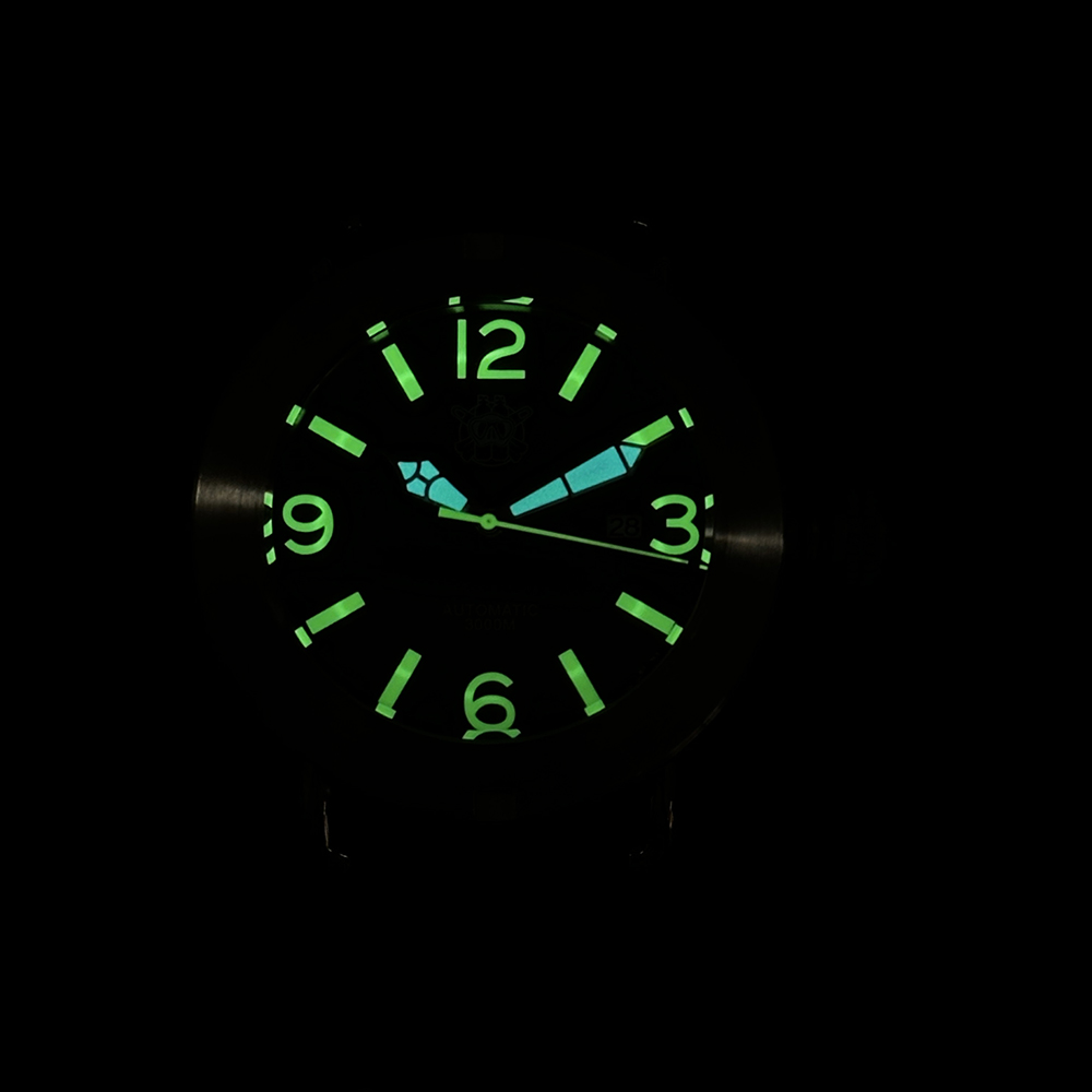 Orologio Steeldive 2025 SD1912 - Seiko Watch Prospex recensione e prezzo