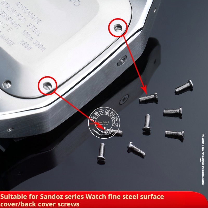 Vite solida in acciaio inossid - Cartier Watch Santos recensione e prezzo